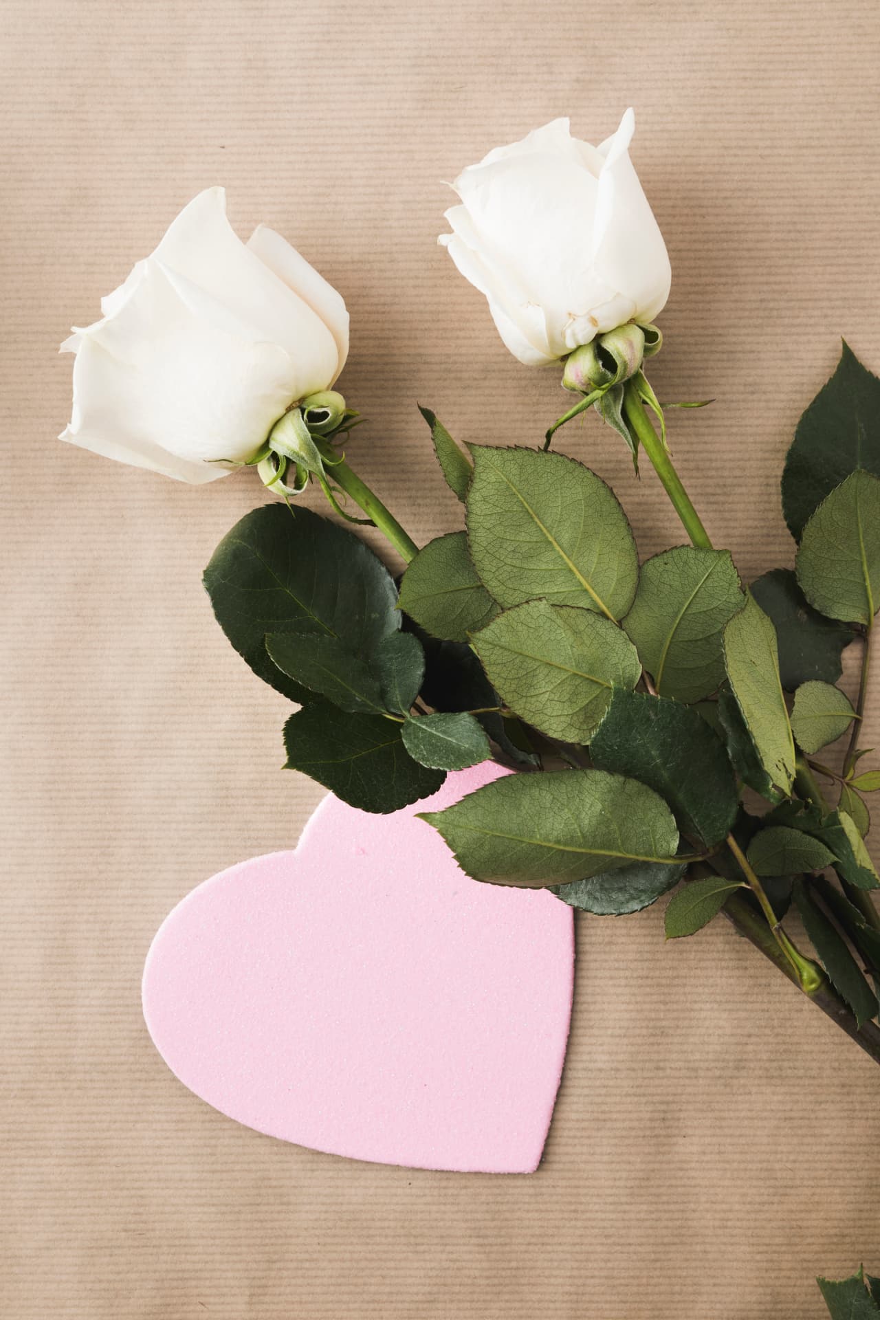 Paper Flowers